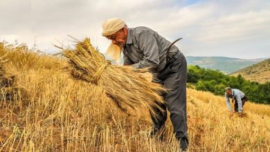 کشاورزی بویراحمدوکهگیلویه