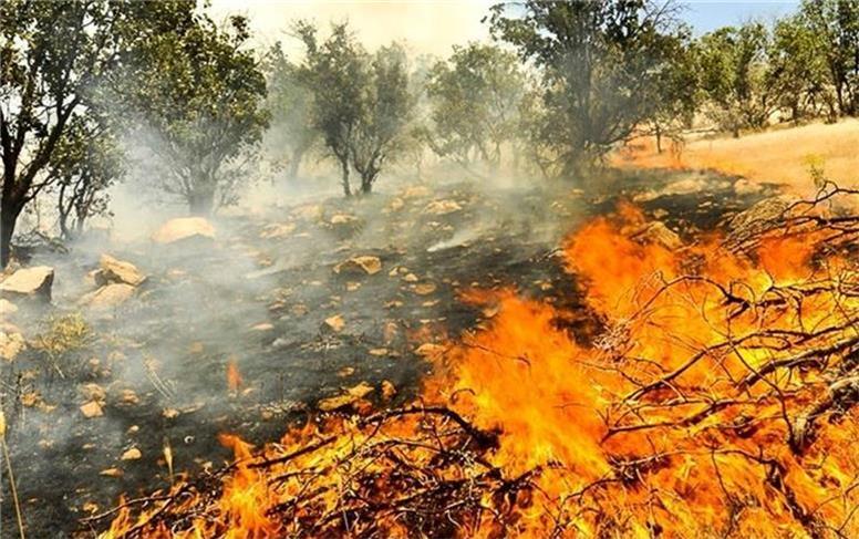 عوامل آتش‌سوزی جنگل‌ها و مراتع کهگیلویه وبویراحمد شناسایی شدند