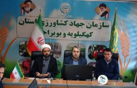 پایان وضعیت قرمز در امور اراضی کشاورزی استان با پیگیری‌های مستمر سازمان جهاد کشاورزی  