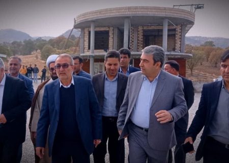 وعده استاندار برای شکستن موانع بزرگترین طرح شترمرغ استان