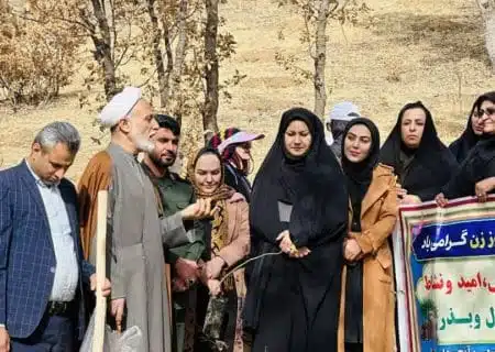 امروز کاشت نهال به مناسبت میلاد حضرت زهرا(س) در بویراحمد
