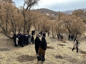 ایران بانو روزن زن کاشت نهال در یویراحمد
